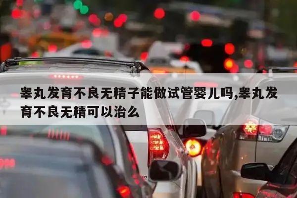 睾丸发育不良无精子能做试管婴儿吗,睾丸发育不良无精可以治么