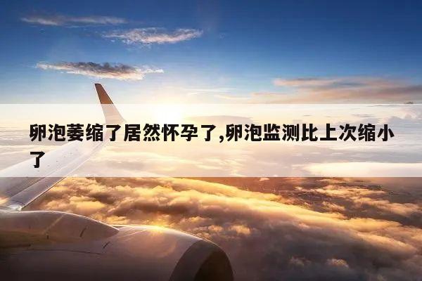 卵泡萎缩了居然怀孕了,卵泡监测比上次缩小了
