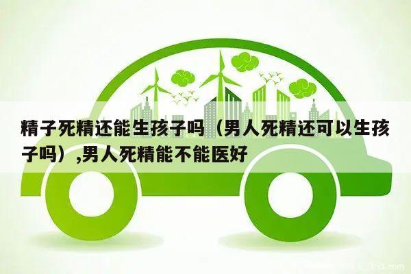 精子死精还能生孩子吗（男人死精还可以生孩子吗）,男人死精能不能医好
