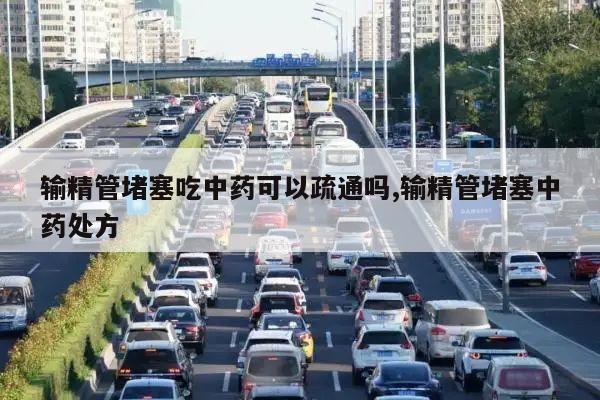 输精管堵塞吃中药可以疏通吗,输精管堵塞中药处方