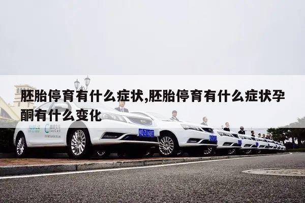 胚胎停育有什么症状,胚胎停育有什么症状孕酮有什么变化