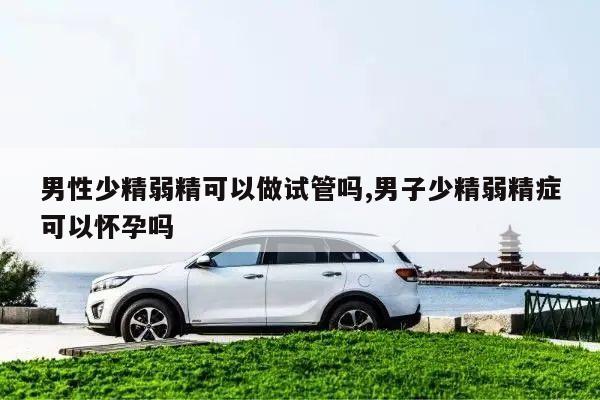 男性少精弱精可以做试管吗,男子少精弱精症可以怀孕吗