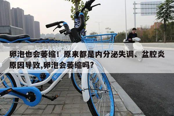卵泡也会萎缩!原来都是内分泌失调、盆腔炎原因导致,卵泡会萎缩吗?