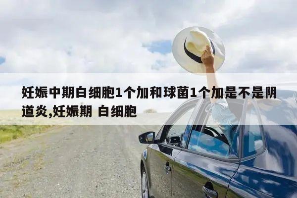 妊娠中期白细胞1个加和球菌1个加是不是阴道炎,妊娠期 白细胞