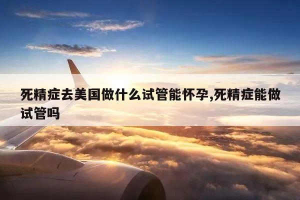 死精症去美国做什么试管能怀孕,死精症能做试管吗