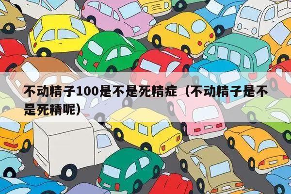 不动精子100是不是死精症(不动精子是不是死精呢)