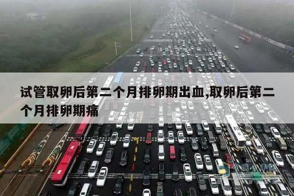 试管取卵后第二个月排卵期出血,取卵后第二个月排卵期痛