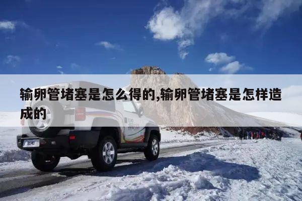 输卵管堵塞是怎么得的,输卵管堵塞是怎样造成的