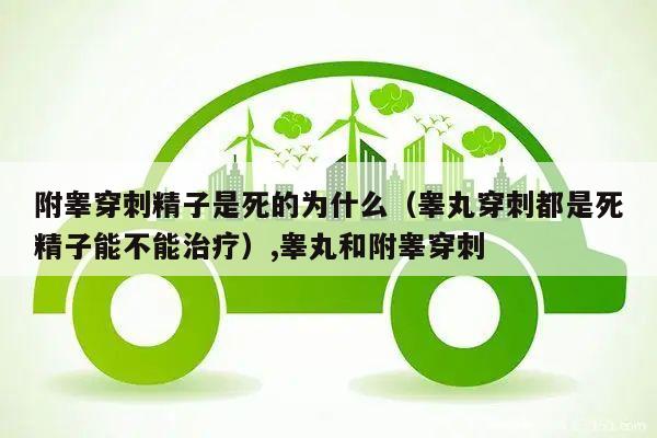 附睾穿刺精子是死的为什么(睾丸穿刺都是死精子能不能治疗),睾丸和附睾穿刺