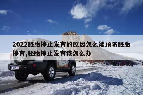 2022胚胎停止发育的原因怎么能预防胚胎停育,胚胎停止发育该怎么办