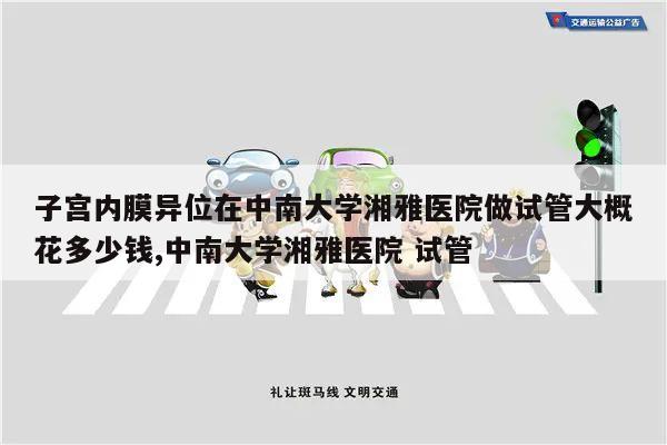 子宫内膜异位在中南大学湘雅医院做试管大概花多少钱,中南大学湘雅医院 试管