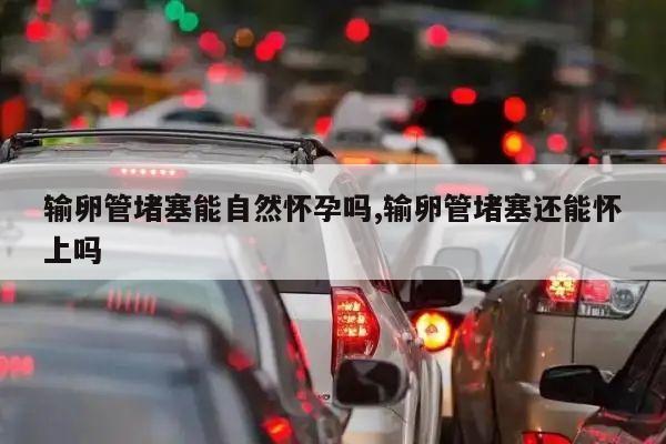 输卵管堵塞能自然怀孕吗,输卵管堵塞还能怀上吗