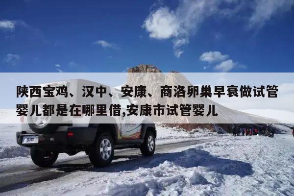 陕西宝鸡、汉中、安康、商洛卵巢早衰做试管婴儿都是在哪里借,安康市试管婴儿