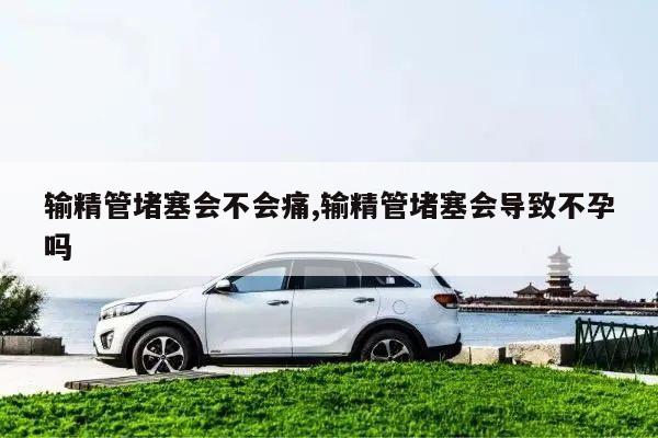 输精管堵塞会不会痛,输精管堵塞会导致不孕吗