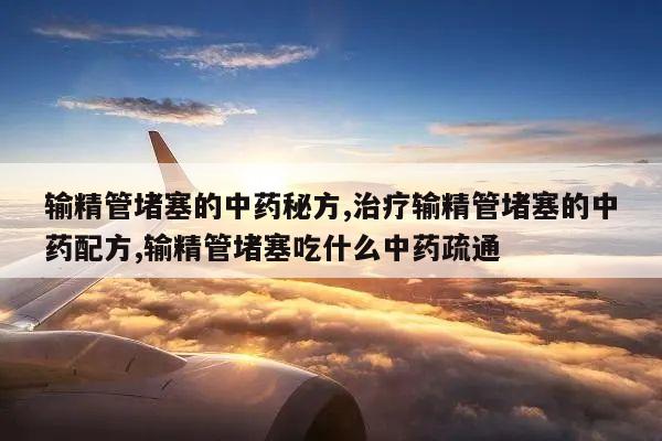 输精管堵塞的中药秘方,治疗输精管堵塞的中药配方,输精管堵塞吃什么中药疏通