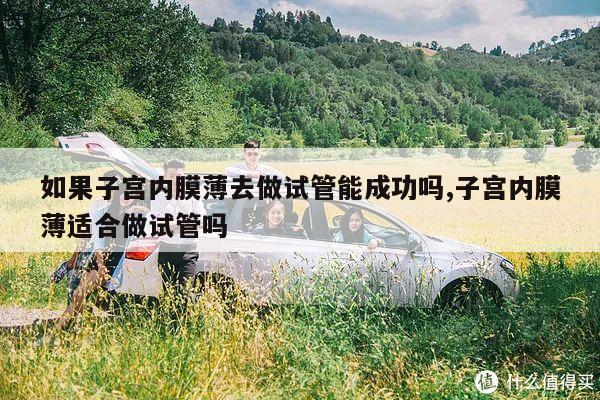 如果子宫内膜薄去做试管能成功吗,子宫内膜薄适合做试管吗