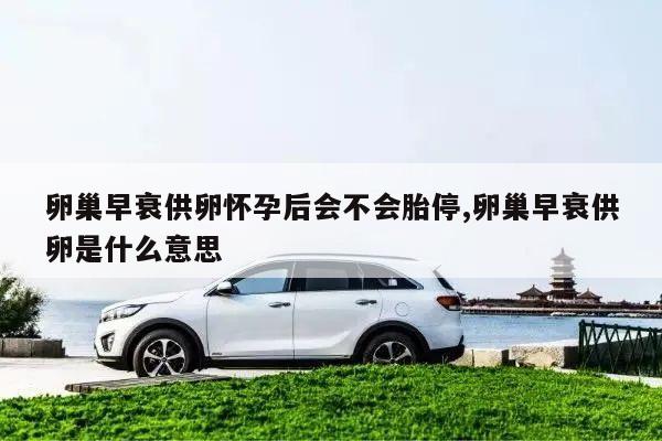 卵巢早衰供卵怀孕后会不会胎停,卵巢早衰供卵是什么意思