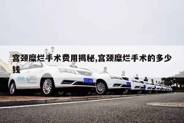 宫颈糜烂手术费用揭秘,宫颈糜烂手术的多少钱