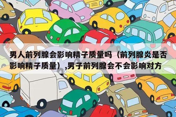 男人前列腺会影响精子质量吗（前列腺炎是否影响精子质量）,男子前列腺会不会影响对方