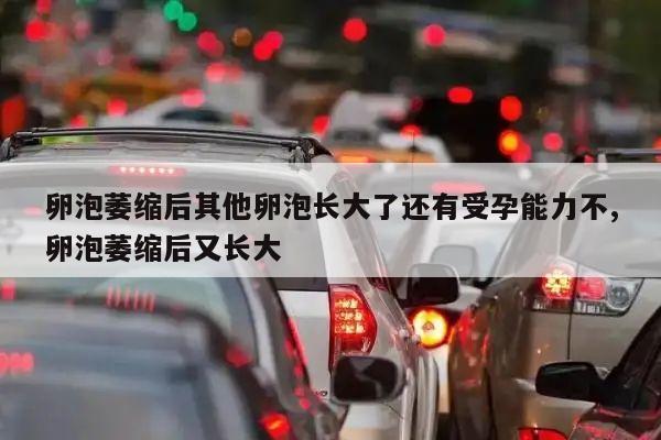卵泡萎缩后其他卵泡长大了还有受孕能力吗?