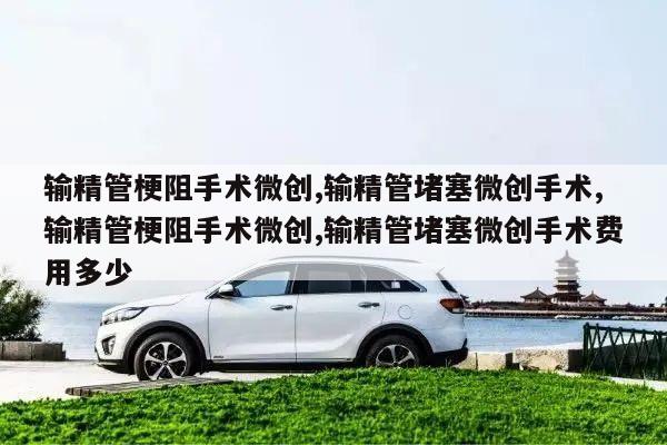 输精管堵塞微创手术费用多少?