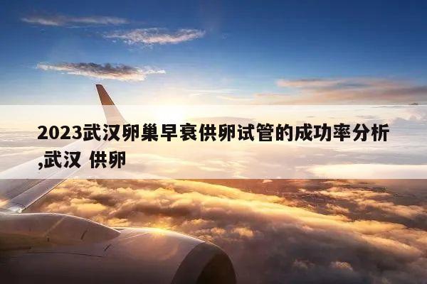 2023武汉卵巢早衰供卵试管的成功率分析