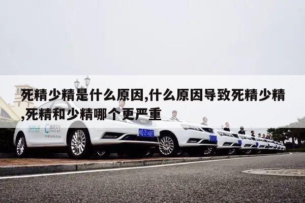 死精少精是什么原因,什么原因导致死精少精