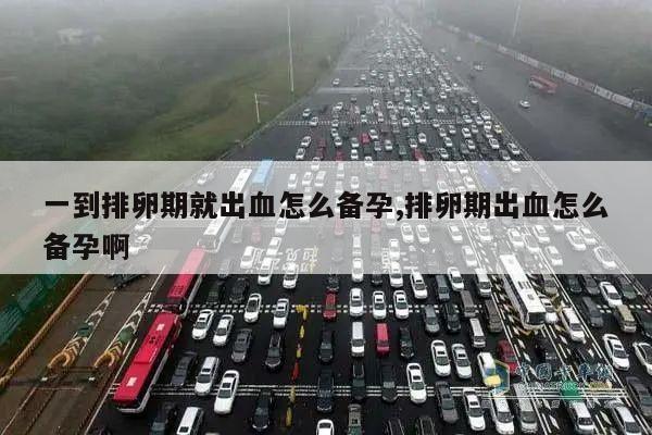 一到排卵期就出血怎么备孕,排卵期出血怎么备孕啊