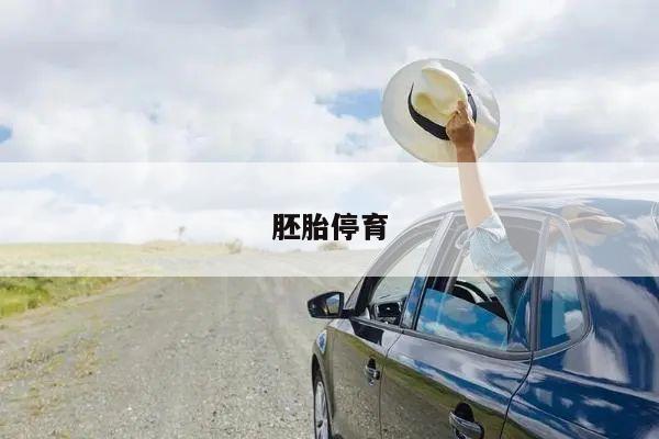 胚胎停育