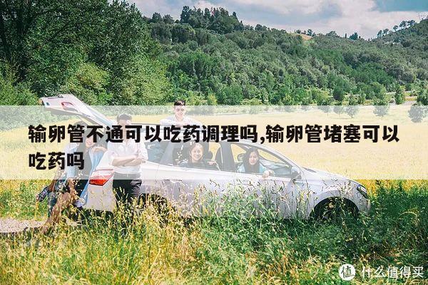 输卵管不通可以吃药调理吗,输卵管堵塞可以吃药吗