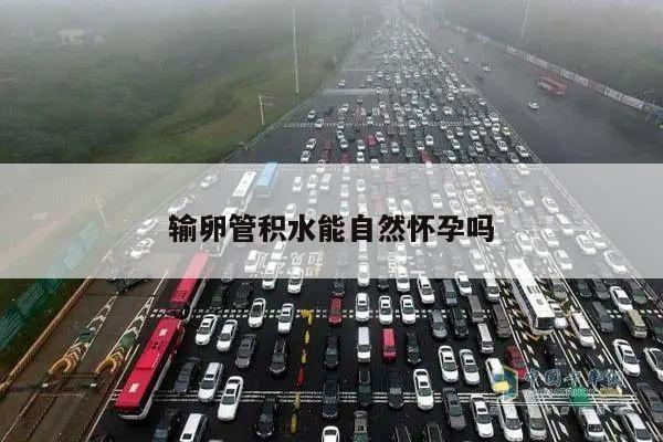 输卵管积水能自然怀孕吗