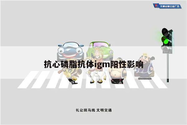 抗心磷脂抗体igm阳性影响