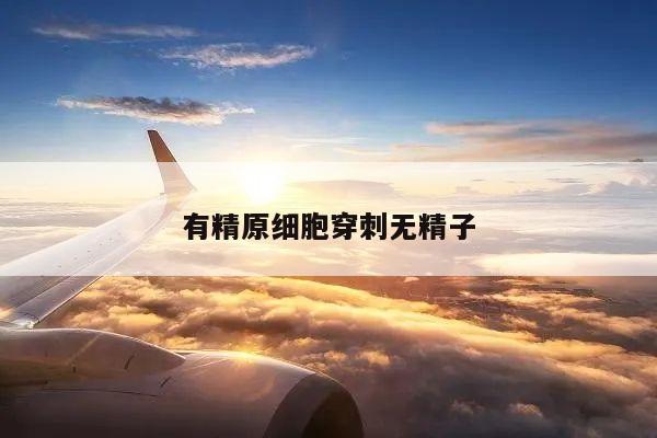 有精原细胞穿刺无精子