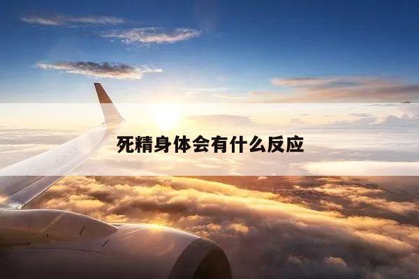 死精身体会有什么反应