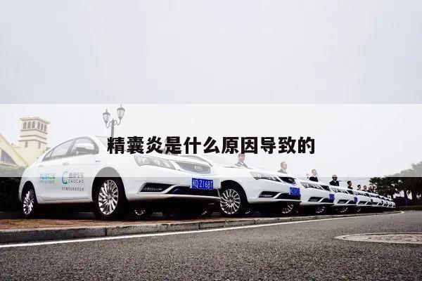 精囊炎是什么原因导致的