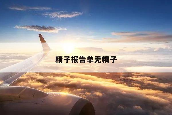 精子报告单无精子
