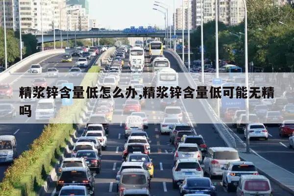 精浆锌含量低怎么办,精浆锌含量低可能无精吗