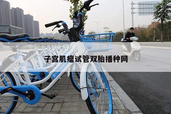 子宫肌瘤试管双胎播种网