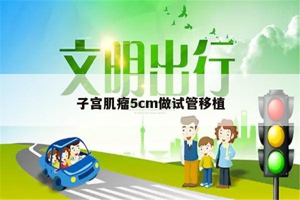 子宫肌瘤5cm做试管移植