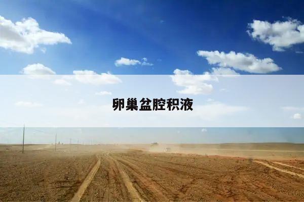 卵巢盆腔积液