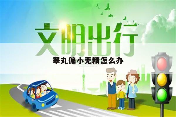 睾丸偏小无精怎么办
