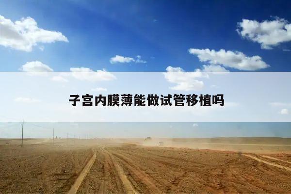 子宫内膜薄能做试管移植吗