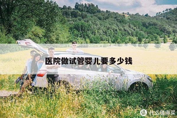 医院做试管婴儿要多少钱