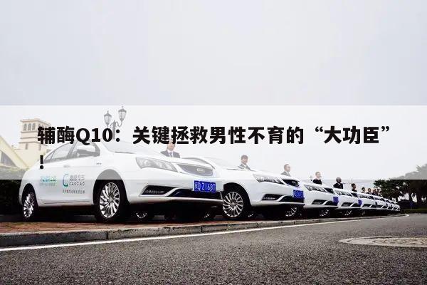 辅酶Q10：关键拯救男性不育的“大功臣”！