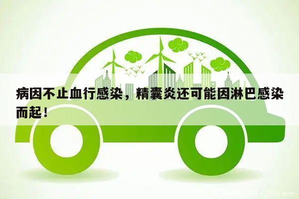 病因不止血行感染,精囊炎还可能因淋巴感染而起!