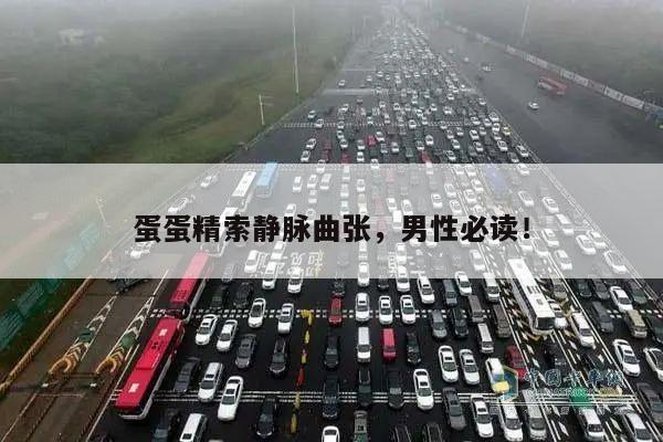蛋蛋精索静脉曲张,男性必读!