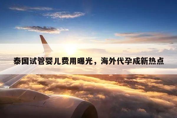 泰国试管婴儿费用曝光,海外代孕成新热点
