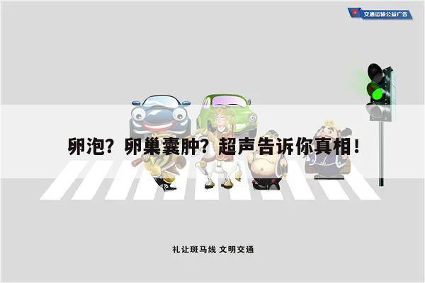 卵泡?卵巢囊肿?超声告诉你真相!