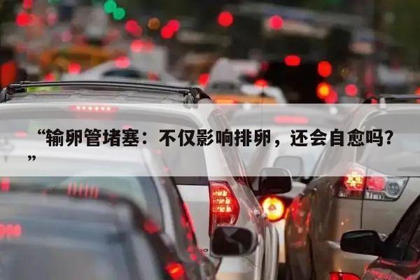“输卵管堵塞：不仅影响排卵，还会自愈吗？”