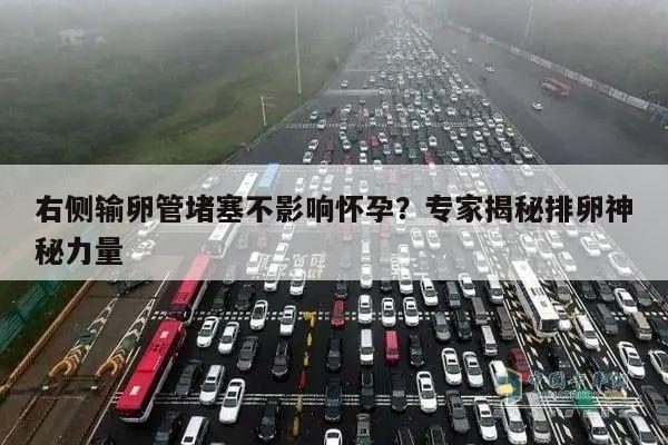 右侧输卵管堵塞不影响怀孕？专家揭秘排卵神秘力量